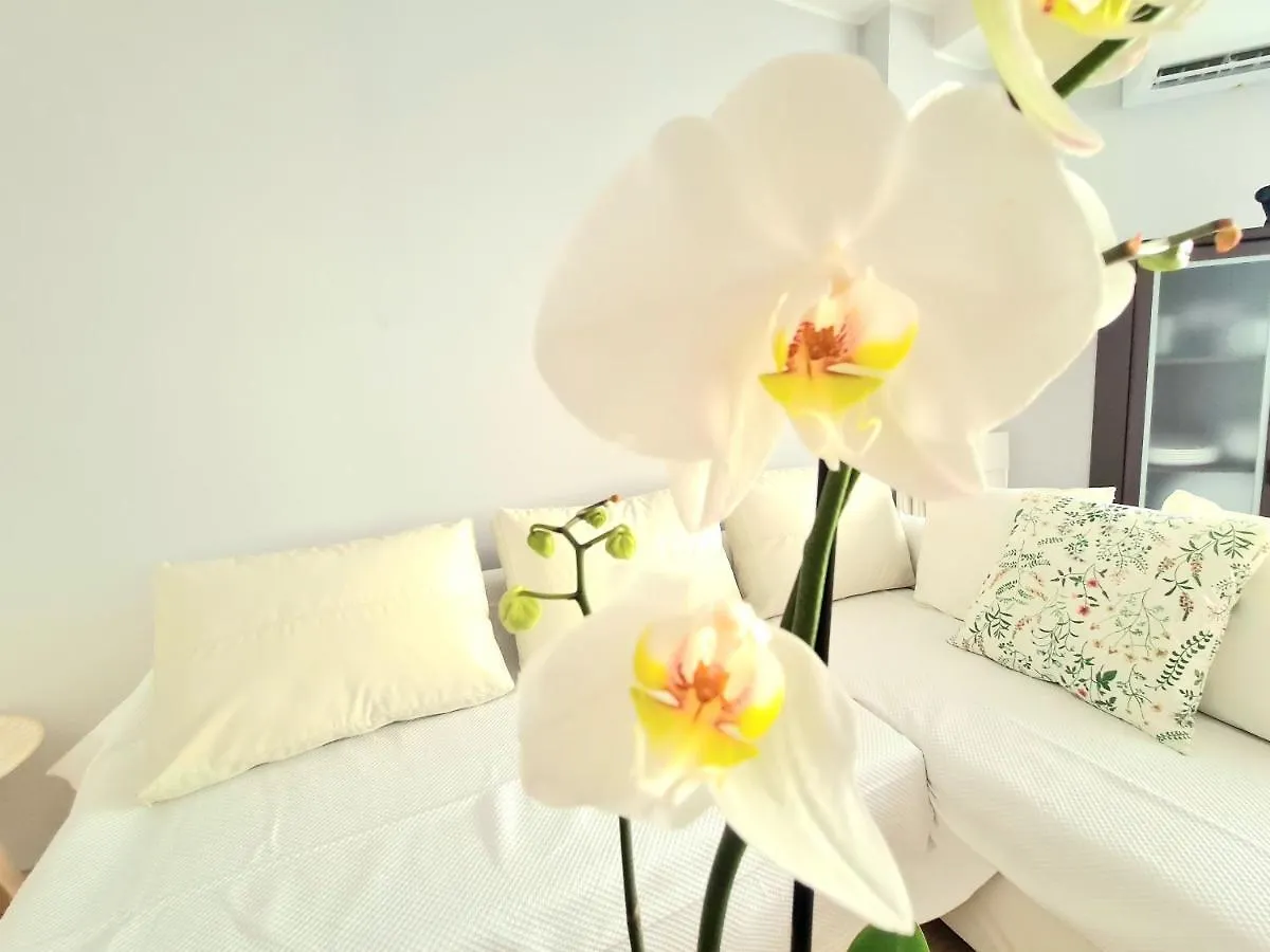 Aa Guest - El Mono De Torre Del Mar Eco Apartment