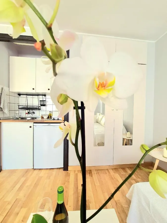 Aa Guest - El Mono De Torre Del Mar Eco Apartment 0*,  Spain