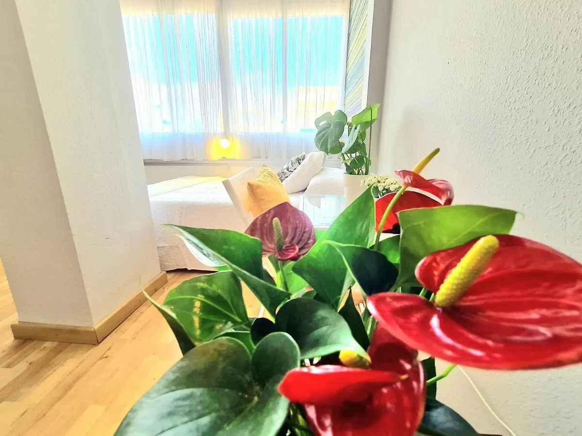 Aa Guest - El Mono De Torre Del Mar Eco Apartment