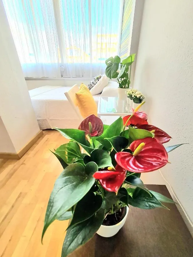 Aa Guest - El Mono De Torre Del Mar Eco Apartment Spain